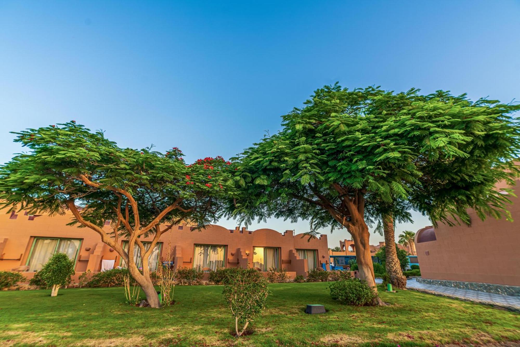 Akassia Swiss Resort El Qoseir Dış mekan fotoğraf